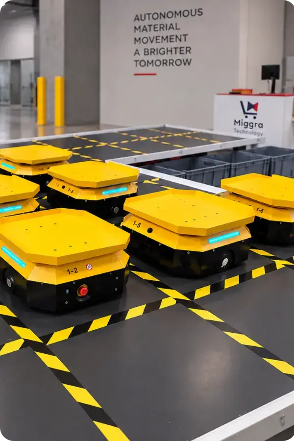 Robotic Item Sorting