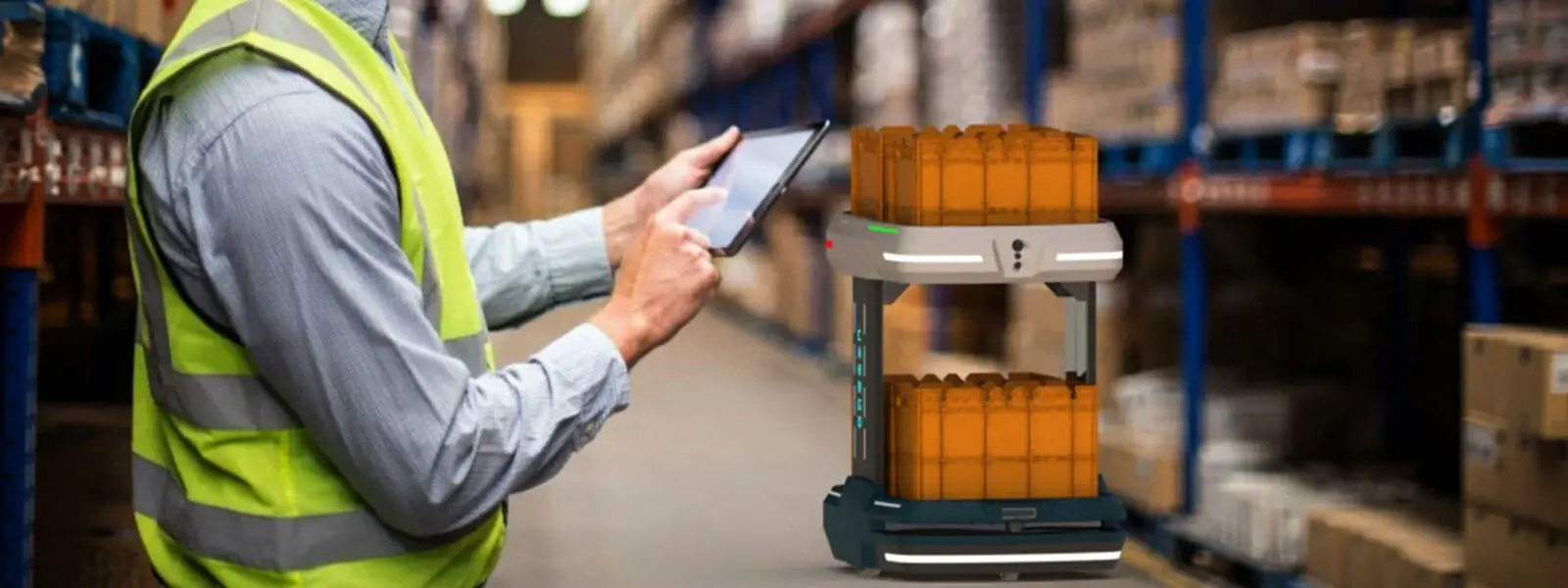 Robot-Assisted Order Picking